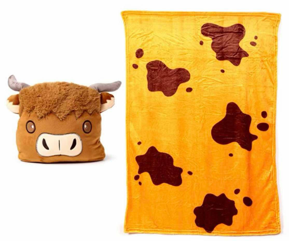 2 in 1 pillow and blanket