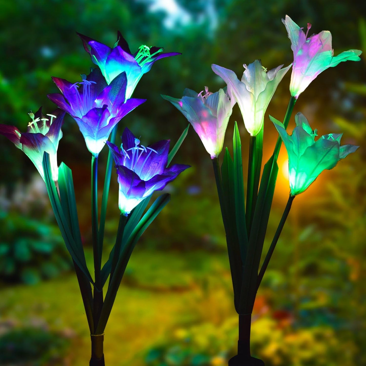 Lily solar lights x2