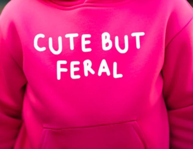 Childrens Personalised Hoodie- Cute but...