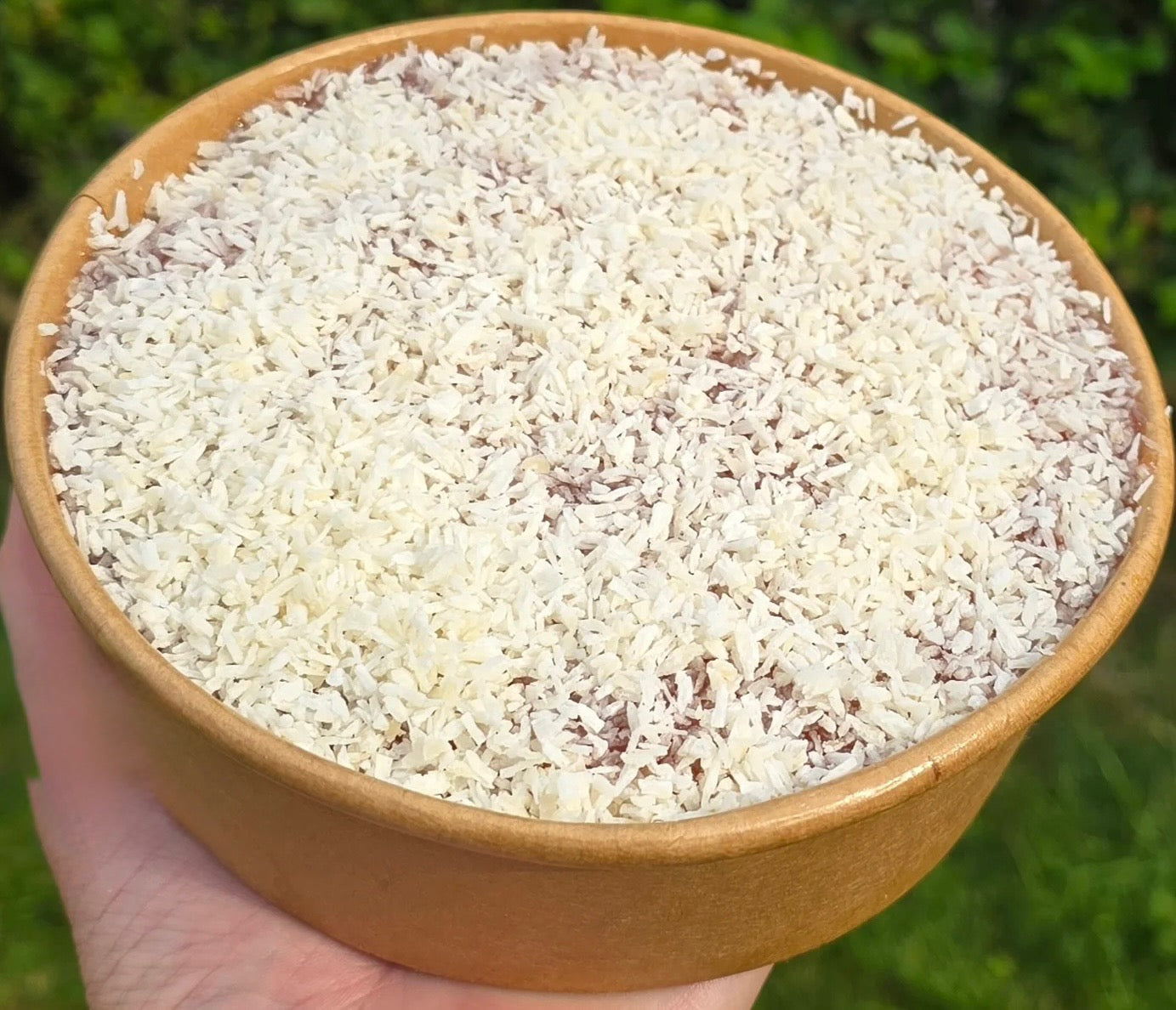 Jam & coconut sponge cake