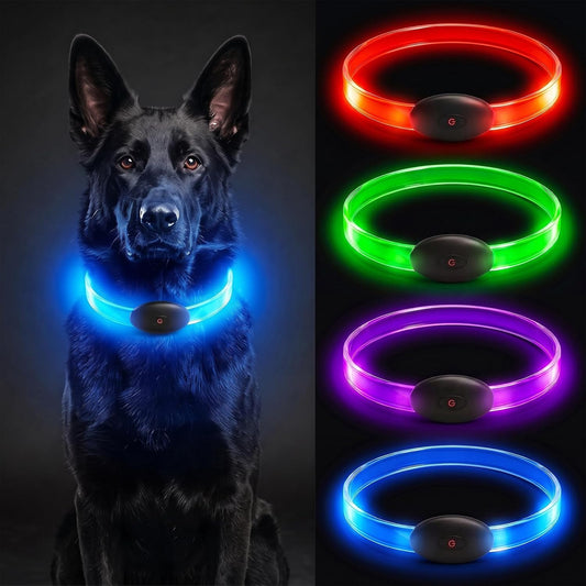 Light up dog collar