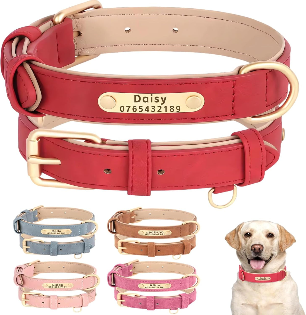 Personalised dog collars