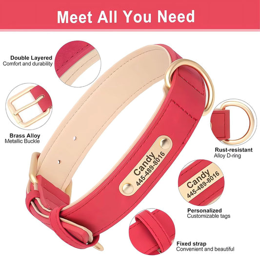 Personalised dog collars