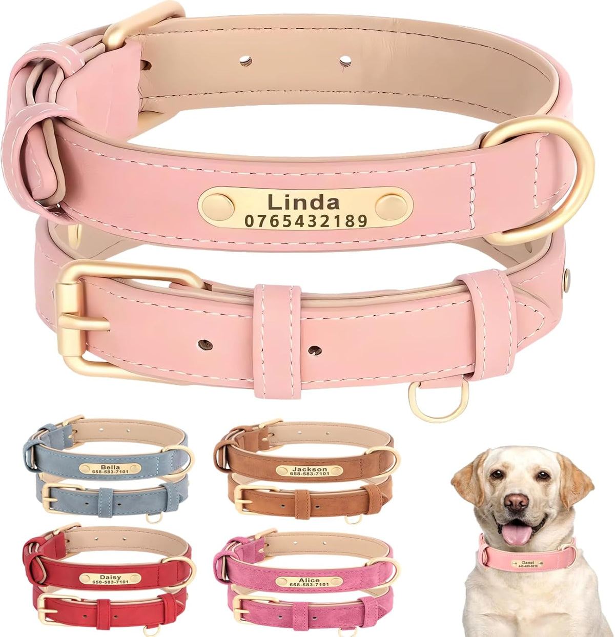 Personalised dog collars