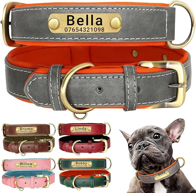 Personalised dog collars