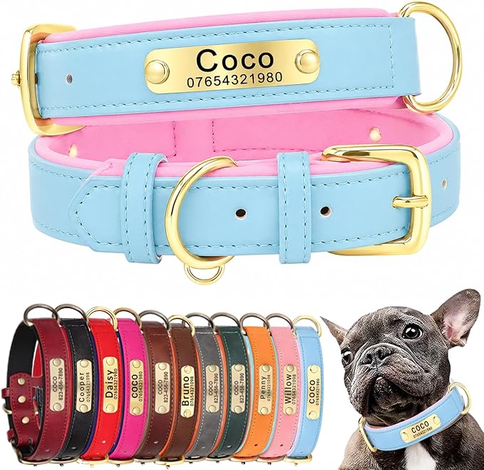 Personalised dog collars
