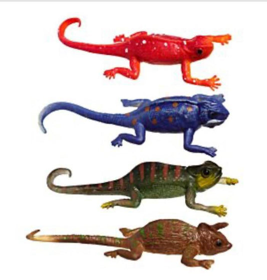 Colour changing chameleon