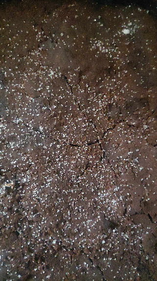 Chocolate concrete cake or Old school cake tray size medium