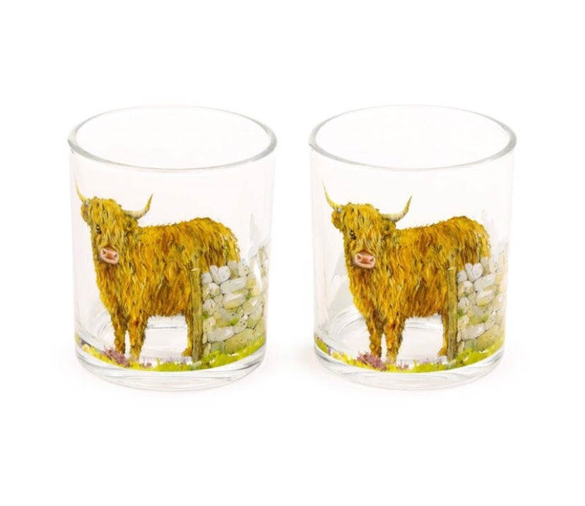 Glass Tumbler Set of 2 250ml