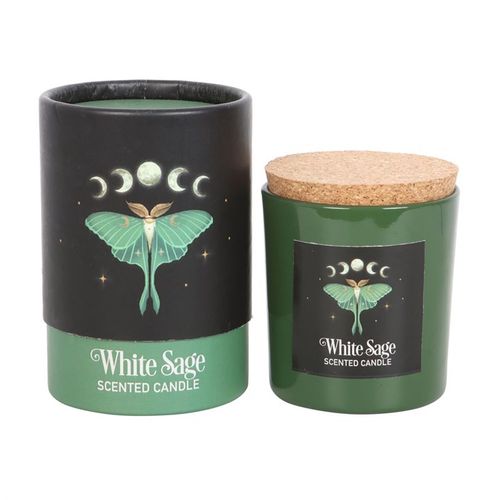 Luna Moth Candle